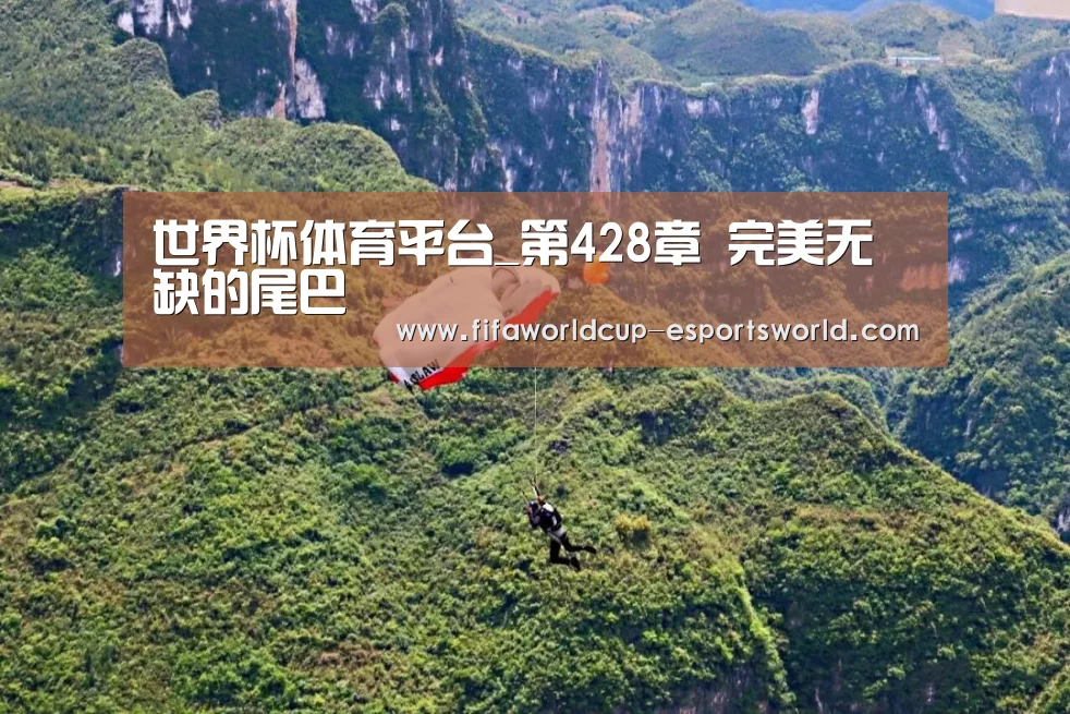 世界杯体育平台_第428章 完美无缺的尾巴