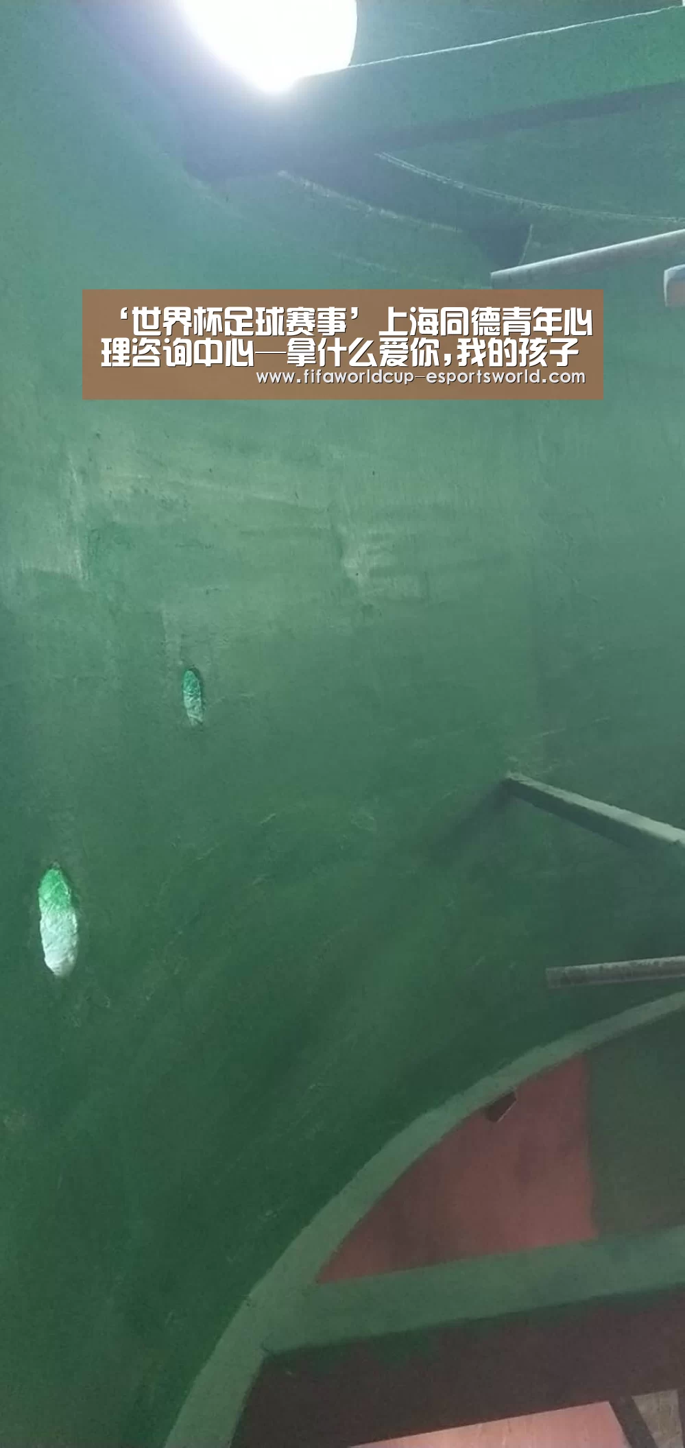 ‘世界杯足球赛事’上海同德青年心理咨询中心—拿什么爱你,我的孩子(图3) 世界杯电竞平台