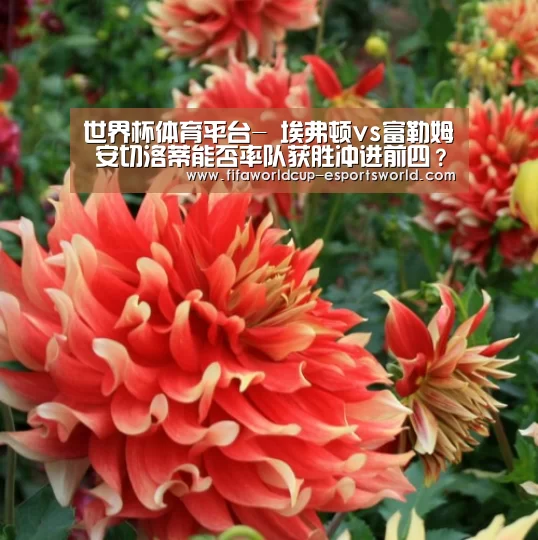 世界杯体育平台-
埃弗顿vs富勒姆 安切洛蒂能否率队获胜冲进前四?(图4) 世界杯足球赛事